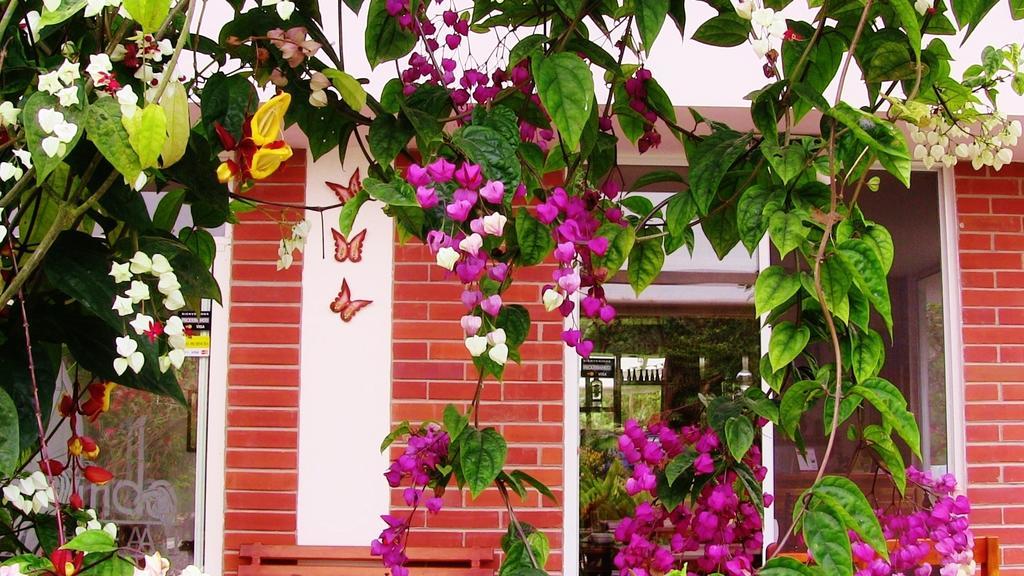 Hotel Mindo Real Exterior foto